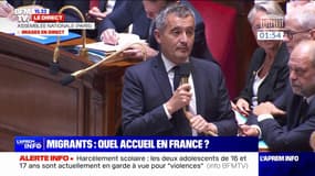 Immigration: "Vous êtes schizophréniques", lance Gérald Darmanin aux députés du RN