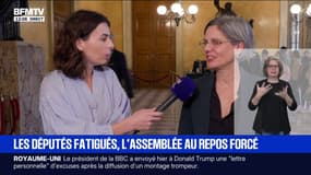 "Une manière de faire traîner les débats": Sandrine Rousseau réagit à la décision de mettre en pause les débats de l'examen du projet de loi de finances ce week-end