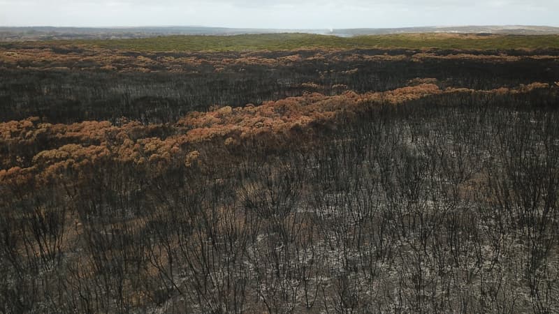 Une photo aérienne de terres brûlées sur l'île Kangourou, en Australie, le 16 janvier 2020