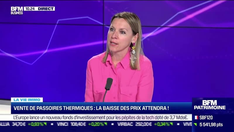 Séverine Amate (Guy Hoquet) : Vente de passoires thermiques, la baisse des prix attendra ! - 14/02