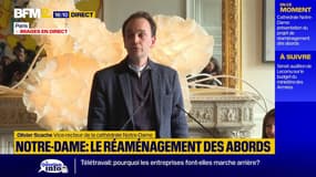 Réaménagement de Notre-Dame: "La cathédrale s'apprête à accueillir 15 millions de personnes par an"