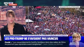 Présidentielle américaine: les manifestants pro-Trump réunis à Washington - 14/11