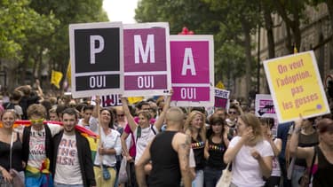 Une manifestation en faveur de la PMA en juin 2013, à Paris.
