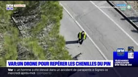 Var: un drone pour repérer les chenilles processionnaires à Saint-Raphaël
