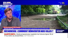 Sécheresse en Île-de-France: "repenser" les villes pour préserver l'eau