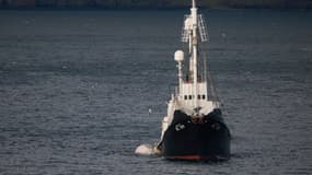 Le navire Hvalur 9 transporte une baleine de 20 mètres de long, en août 2022. (ILLUSTRATION)