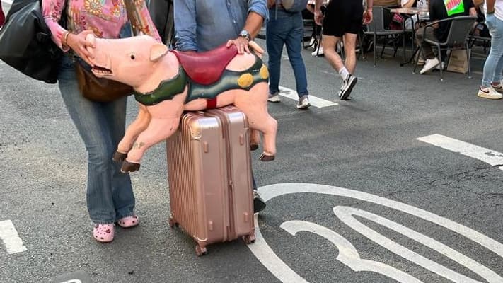 Des habitants ont chiné un cochon à la Braderie de Lille. Des habitants ont chiné un cochon à la Braderie de Lille.