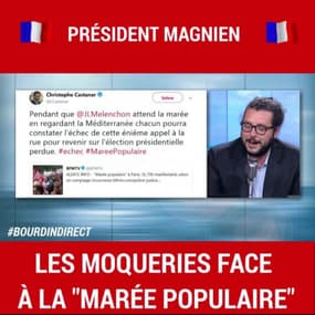 Les moqueries sur la "Marée populaire" du défilé de ce 26 mai 