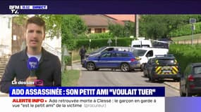 La jeune-fille assassinée à Clessé entretenait "une relation tumultueuse" avec son petit-ami, qui a reconnu l'avoir tuée