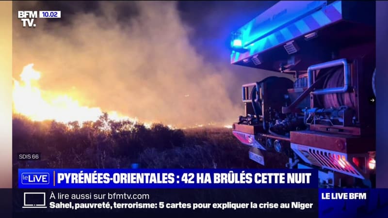 Pyrénées-Orientales: 42 hectares brûlés cette nuit, le feu circonscrit ce matin