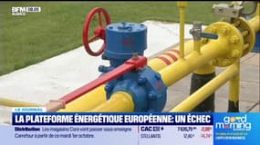 La plateforme énergétique européenne : un échec