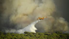 Un Canadair largue de l'eau sur le front de l'incendie à Gonfaron, dans le Var, le 17 août 2021