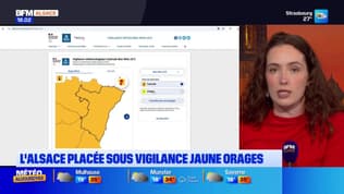 Bonsoir Alsace du mardi 14 juillet 2026