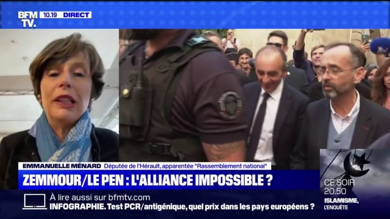"Il faut mettre ses égos de côté": Emmanuelle Ménard appelle Zemmour et Le Pen à "travailler ensemble"