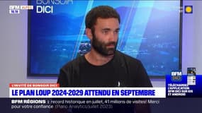 Le plan loup 2024-2029 est attendu en septembre