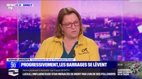 Sophie Lenaerts (vice-présidente de la Coordination rurale): "Nous avons fait les démarches pour avoir un rendez-vous auprès d'Emmanuel Macron le plus rapidement possible" 
