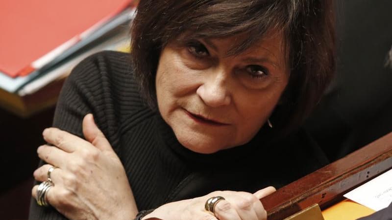 Plusieurs élus issus socialistes, écologistes et UMP ont publié ou annoncé leur intention de publier leur déclaration de patrimoine dans un "souci de transparence" après l'affaire Cahuzac. La ministre PS déléguée en charge des personnes handicapées et de