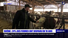 Rhône: 24% des fermes ont disparu en 10 ans