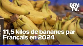 Nourrissante, riche, économique… la banane est le fruit le plus consommé par les Français en 2024 