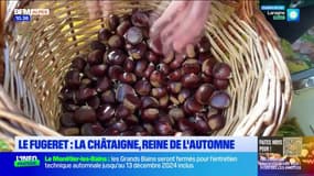 Le Fugeret: la châtaigne, reine de l'automne