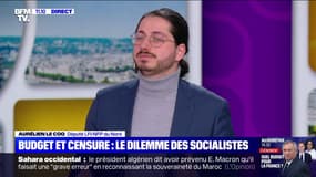 Motion de censure: "La responsabilité aujourd'hui, c'est de faire tomber ce gouvernement", pour Aurélien Le Coq (LFI) 