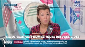 Dupin Quotidien : Les utilisations domestiques des pesticides - 07/10