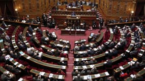 A l'intérieur du Sénat. - François Guillot - AFP