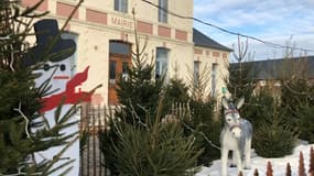 Décorations de Noël dans les Hauts-de-France