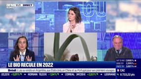 Laure Verdeau (Agence Bio) : Le bio recule en 2022 - 04/11