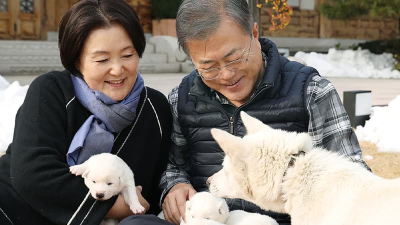 L'ex-président sud-coréen Moon Jae-in avec les chiots de l'un des chiens offerts par le dirigeant nord-coréen Kim Jong Un, ici en 2018.