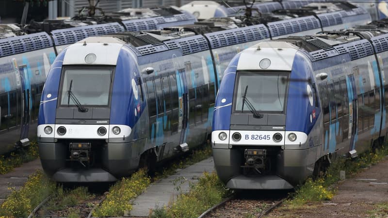 Des trains TER en Bretagne
