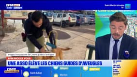 BFM Nice et vous : une association à Èze élève les chiens guides d'aveugles