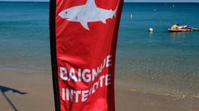 Un drapeau "baignade interdite" en raison de la présence de requins, sur la plage de la Baie-des-Citrons, à Nouméa, en Nouvelle-Calédonie, le 29 avril 2021. (Photo d'illustration)