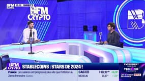 stablecoins : stars de 2024 ! 