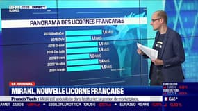 Blablacar, Doctolib, Deezer, Mirakl: qui sont les licornes françaises? 