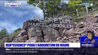 Alpes-Maritimes: Ren"Essence" pour l'arboretum de Roure