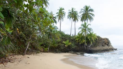 Le Costa Rica est l'un des pays les plus verts au monde, et compte 26 parcs nationaux.