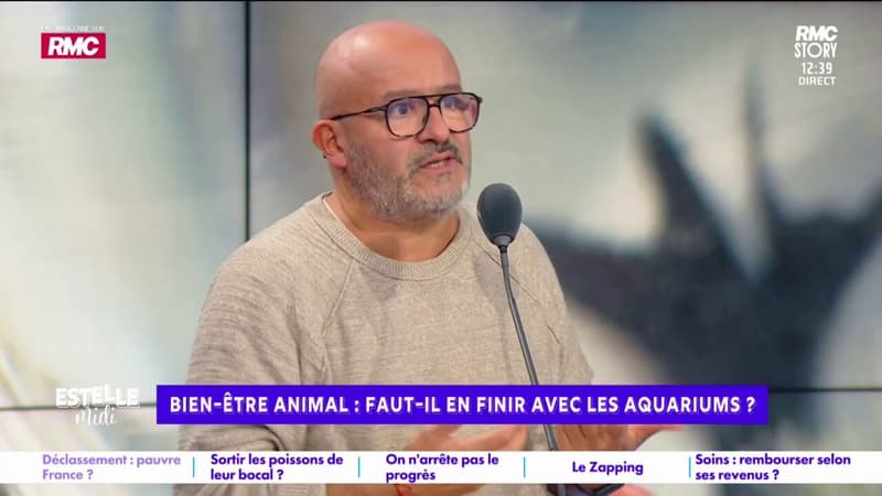 En finir avec les aquariums : "Entre le cirque et l'aquarium, le cirque il y a une exploitation de l'animal", tranche Benjamin Amar