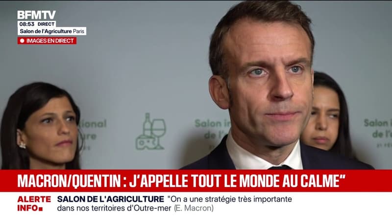 Mort de Quentin Deranque: "J'appelle tout le monde au calme", déclare Emmanuel Macron