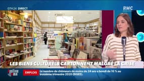 Dupin Quotidien : Les biens culturels cartonnent malgré la crise - 10/02