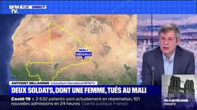 Soldats tués au Mali : retour sur les faits - 03/01