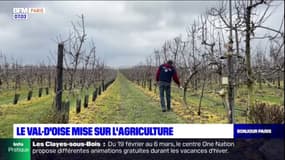 Le Val-d'Oise mise sur l'agriculture