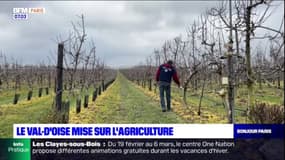 Le Val-d'Oise mise sur l'agriculture