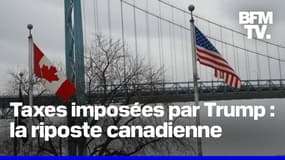  Droits de douane imposés par l'administration Trump: comment le Canada riposte? 