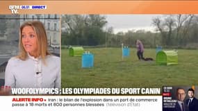 Animaux de compagnie: les bienfaits de faire du sport avec son chien