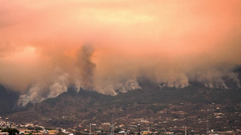 Espagne: le feu à Tenerife est l'incendie 
