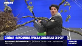 Cinéma: rencontre avec la dresseuse de Poly - 25/10