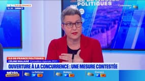"Aujourd'hui on est en train de casser le réseau de bus historique de la RATP en 12 morceaux", déplore Céline Malaisé, élue (PCF)