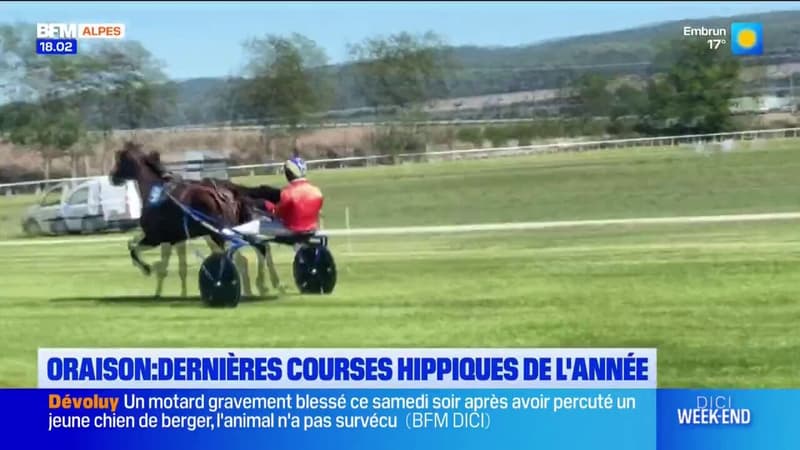 Oraison: les dernières courses hippiques de l'année à l'hippodrome