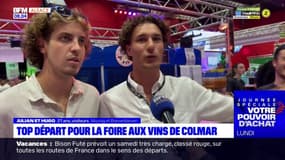 La Foire aux vins de Colmar a débuté vendredi soir pour sa 74e édition